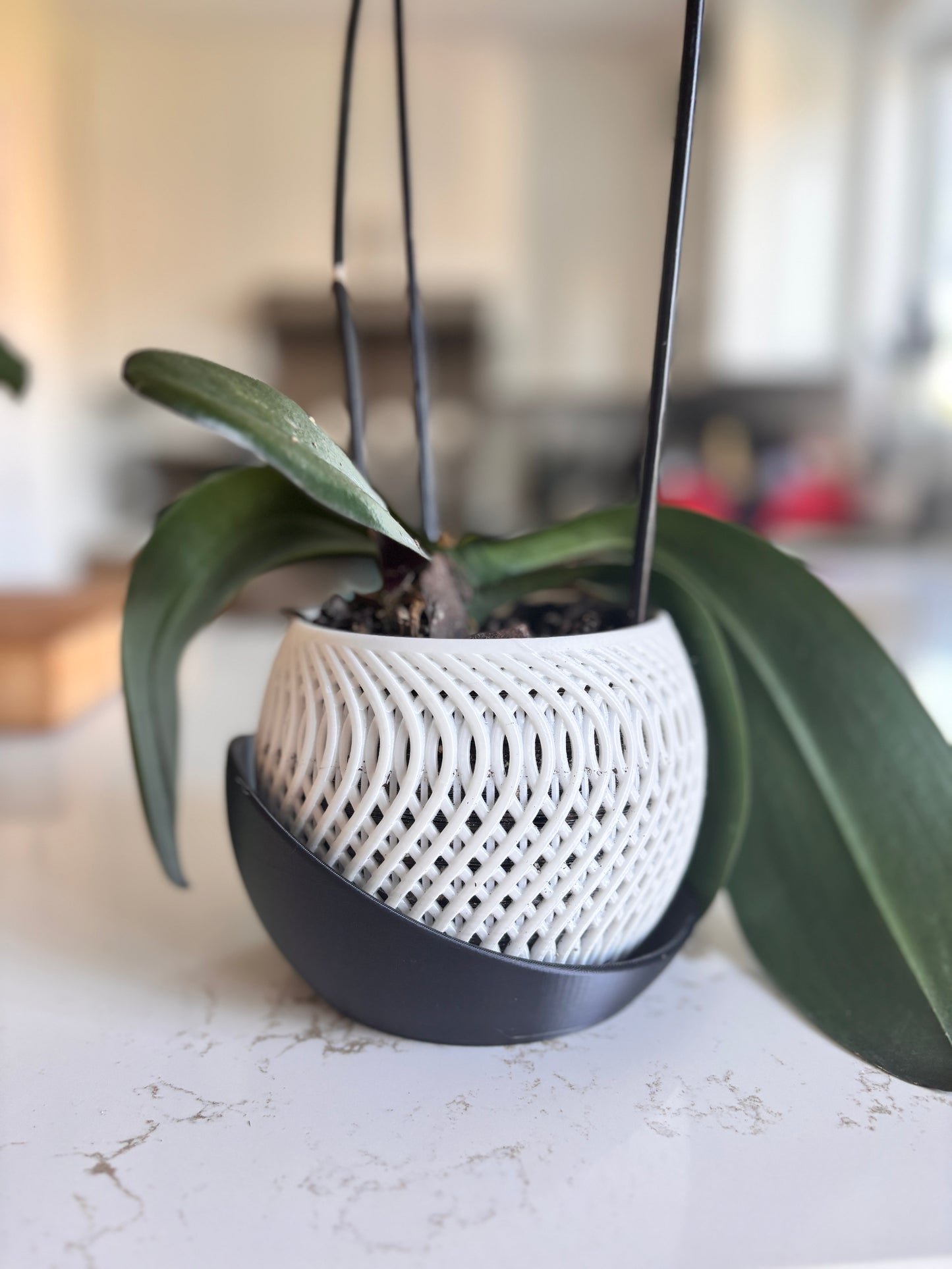 Pot orchidée - NUAGE