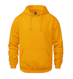 PROMO 12 HOODIES