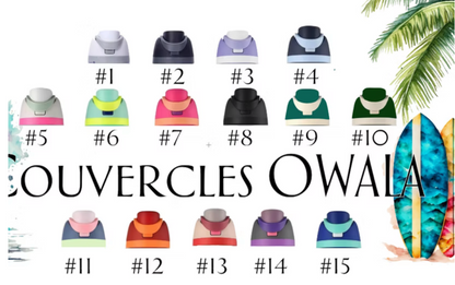 Bouteille isotherme style Owala - À PERSONNALISER