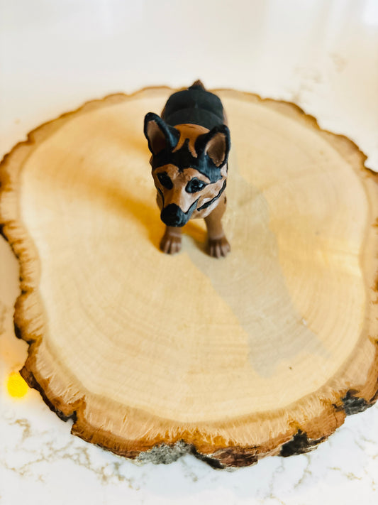 Chien berger allemand