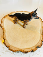 Coaster - Fill my glass