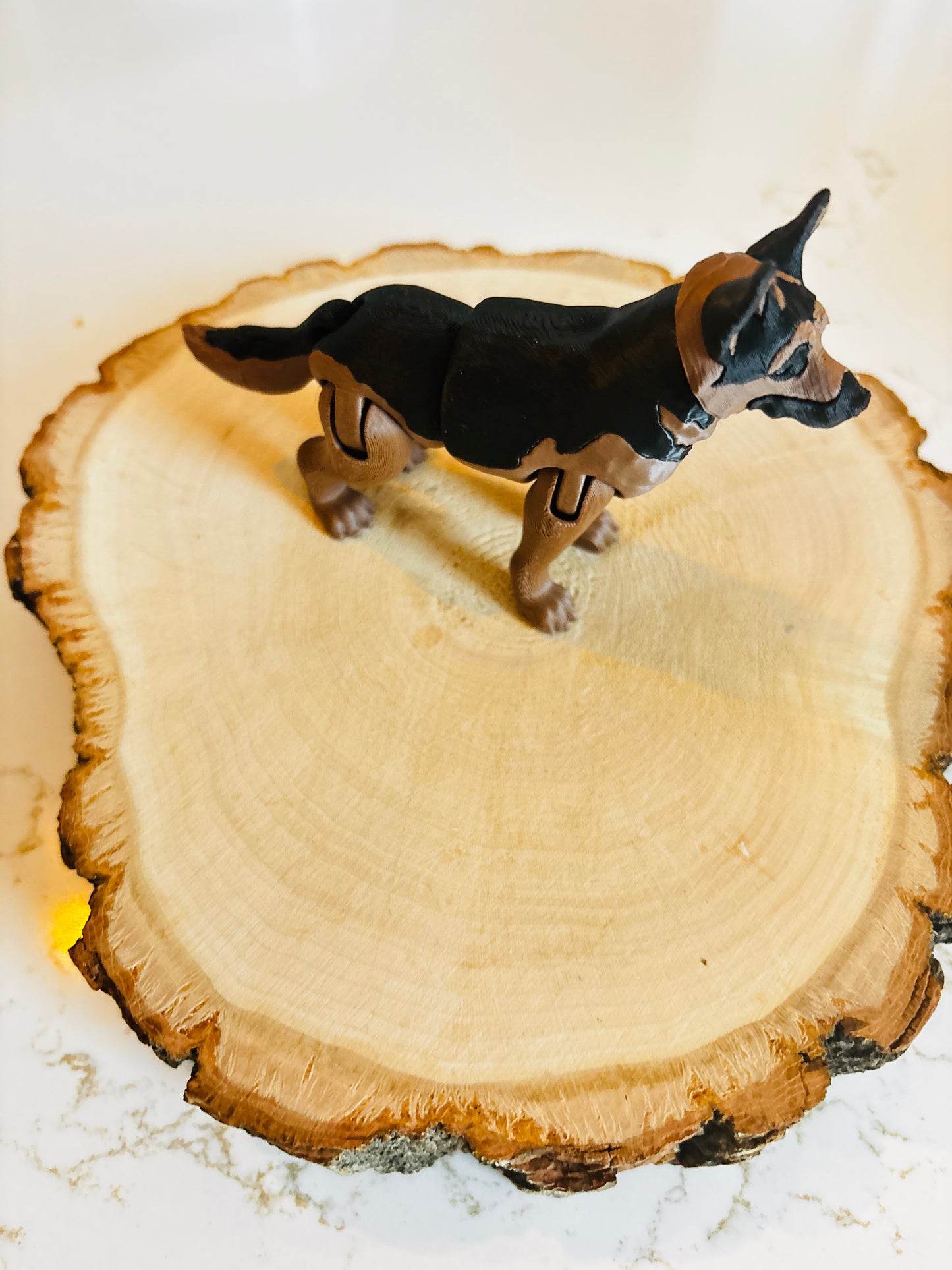 Chien berger allemand