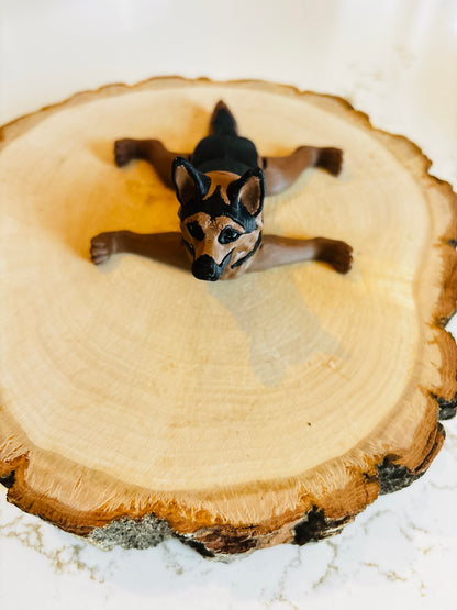 Chien berger allemand
