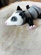 Oppossum - imparfait