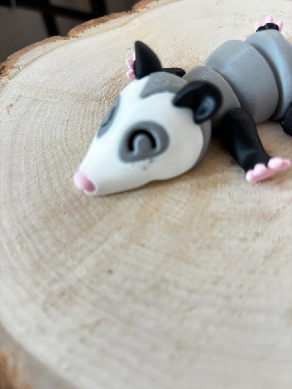 Oppossum - imparfait