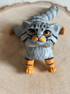 Chat asiatique
