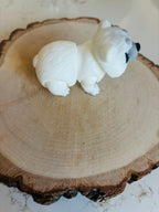 Ours polaire