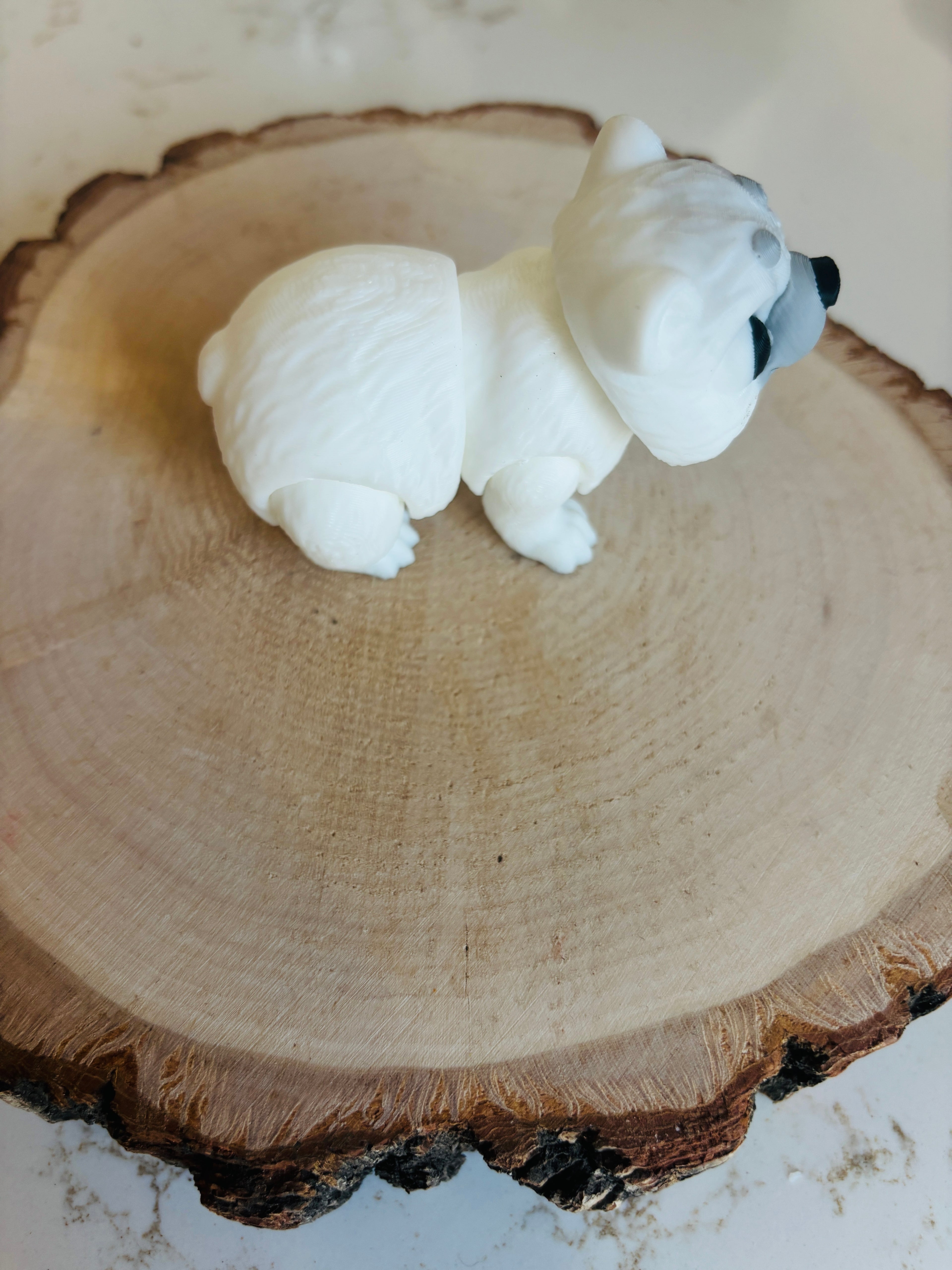 Ours polaire