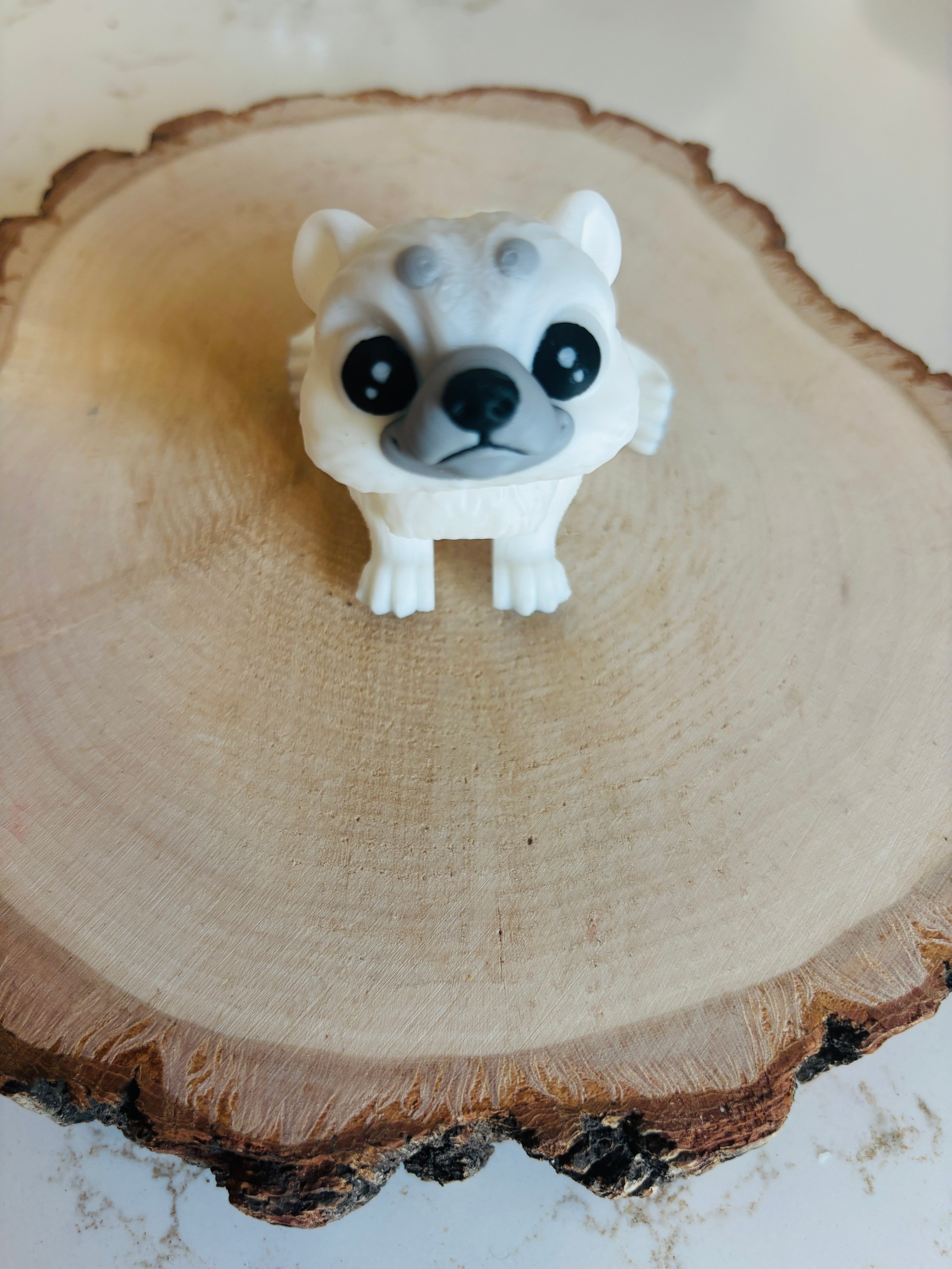 Ours polaire