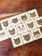 Jeu de mémoire - LES CHATS