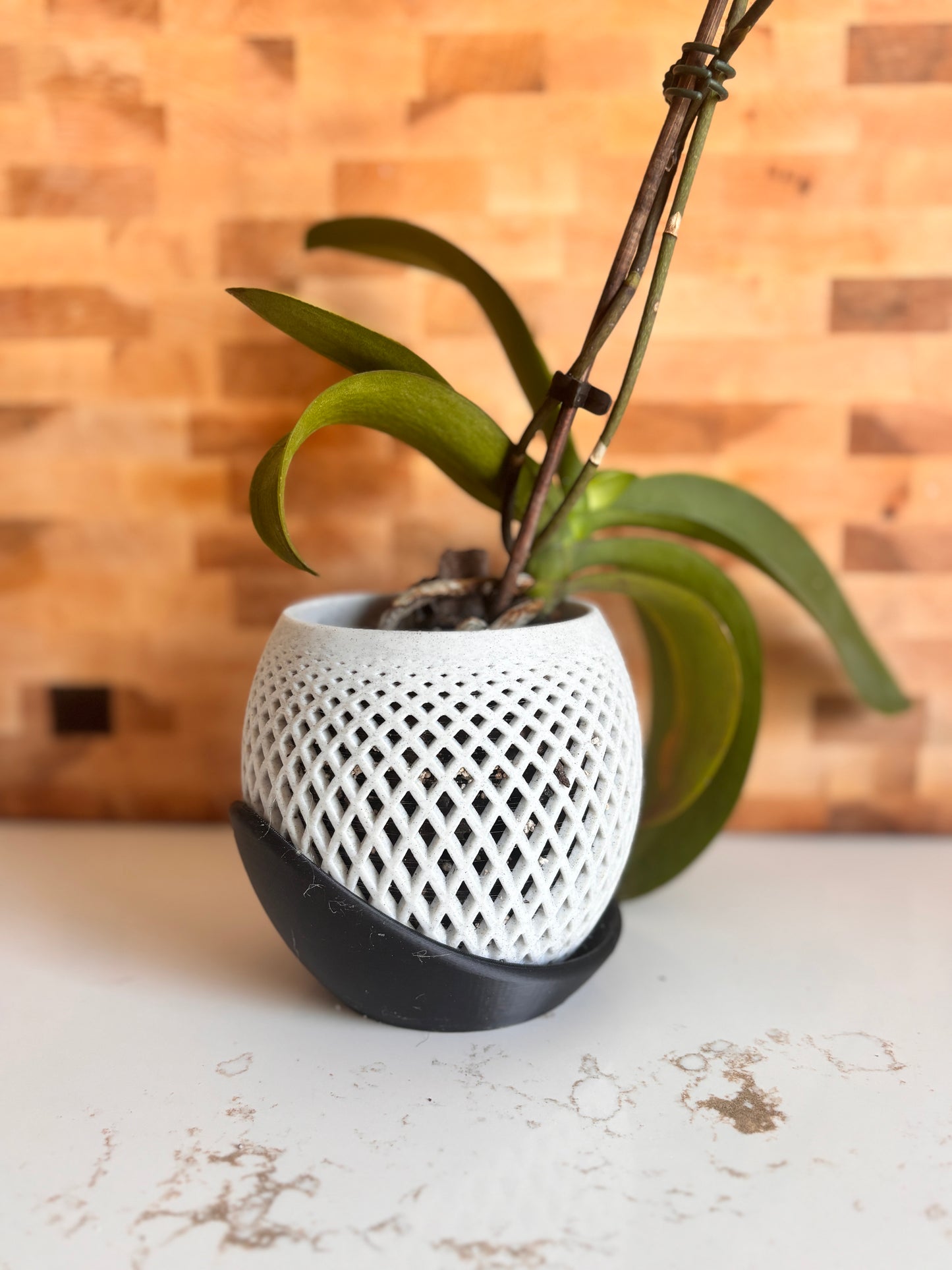 Pot orchidée - LUNE