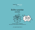 Boîte surprise adulte