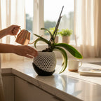 Pot orchidée - LUNE