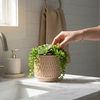 Cache-pot - ÉCHELON